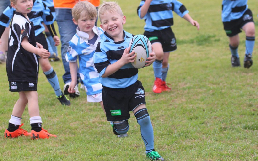 Junior rugby season kicks off as Narrabri hosts first carnival of the year