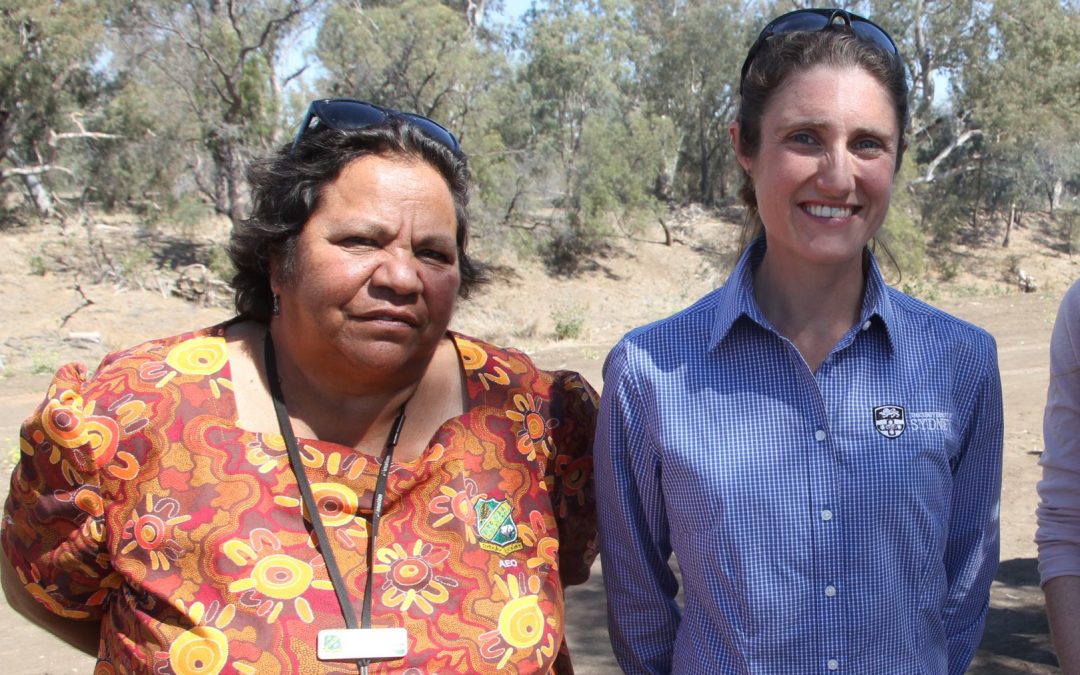 Research on native foods earns award nomination