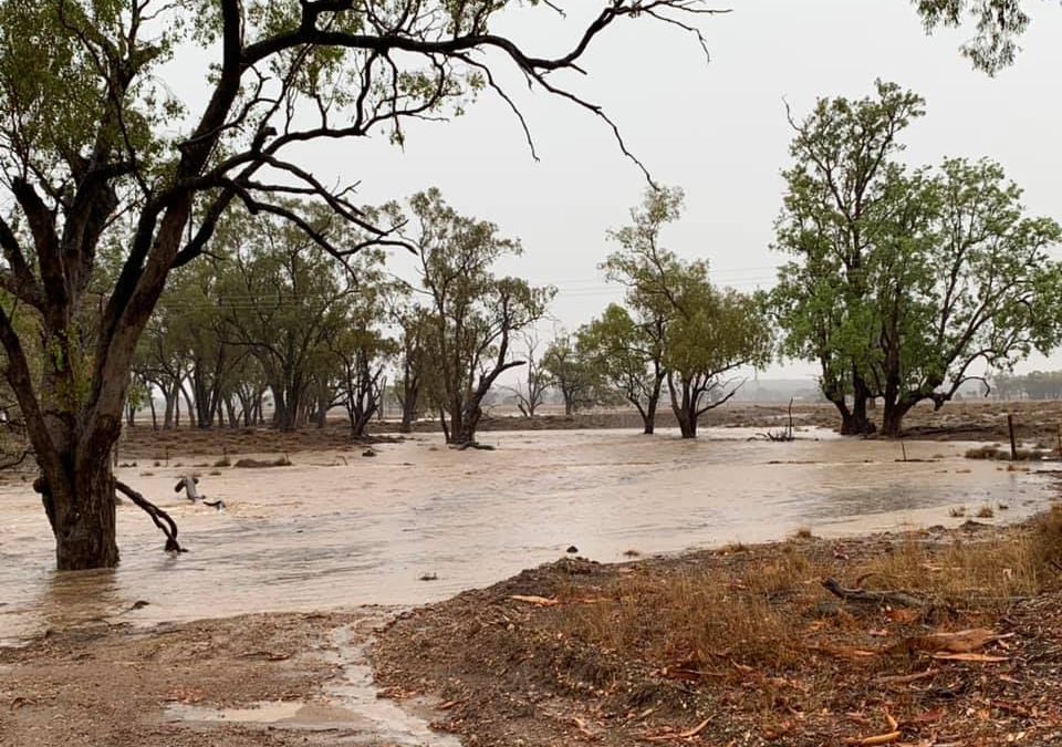 Rain further brightens seasonal prospects