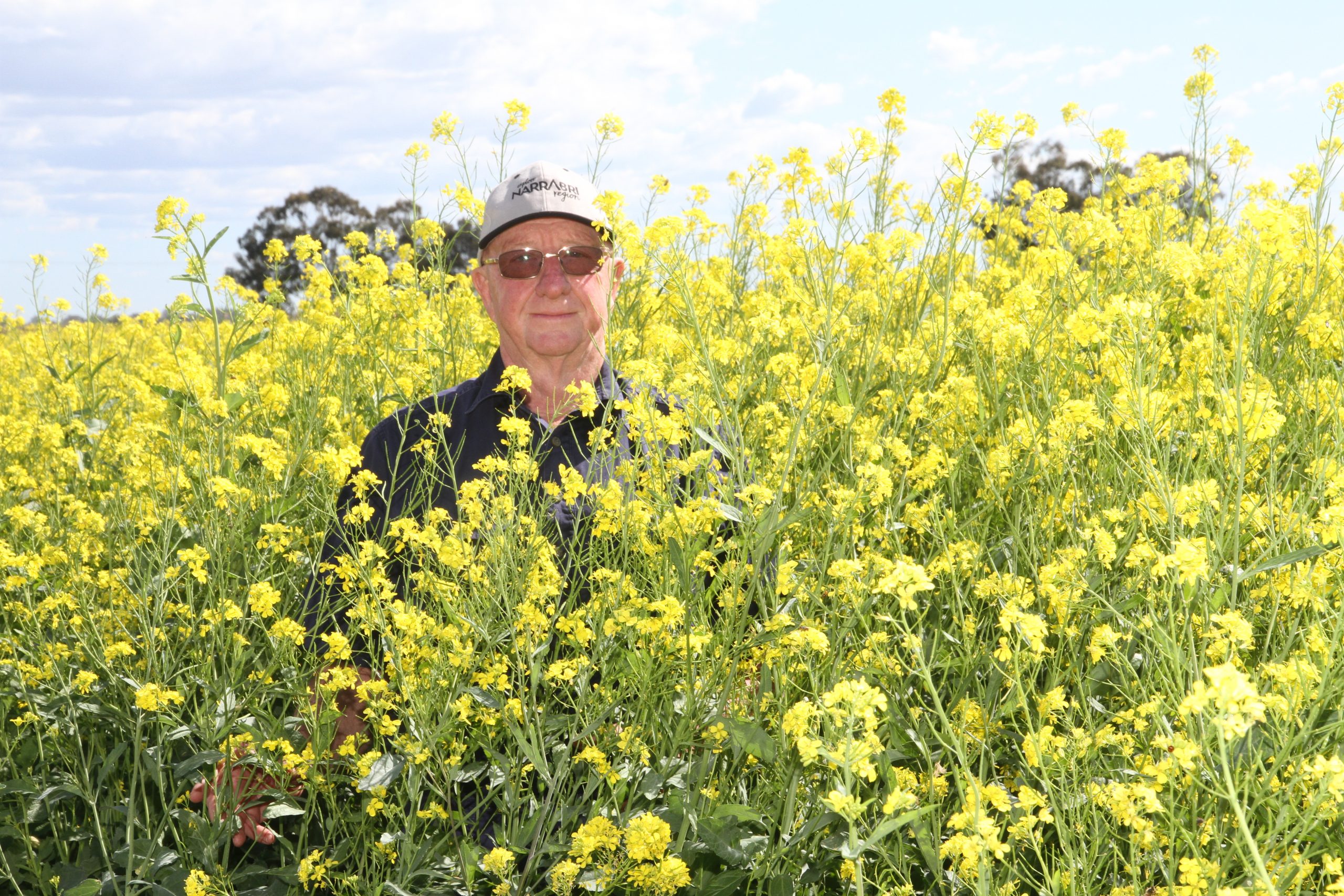 Multimillion-dollar mustard industry vision moves steadily to reality