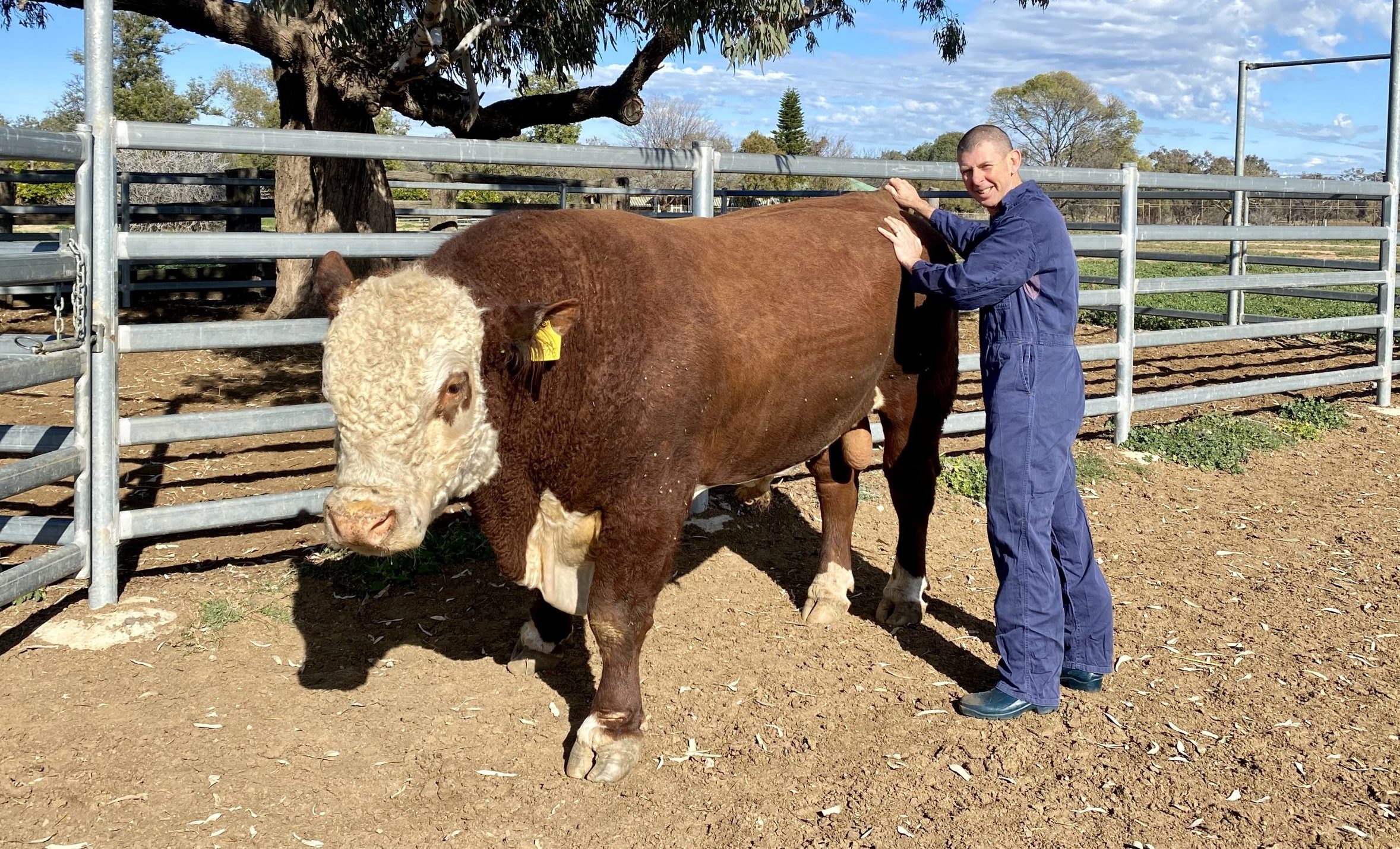 Drought then rain provides ‘field laboratory’ for vets