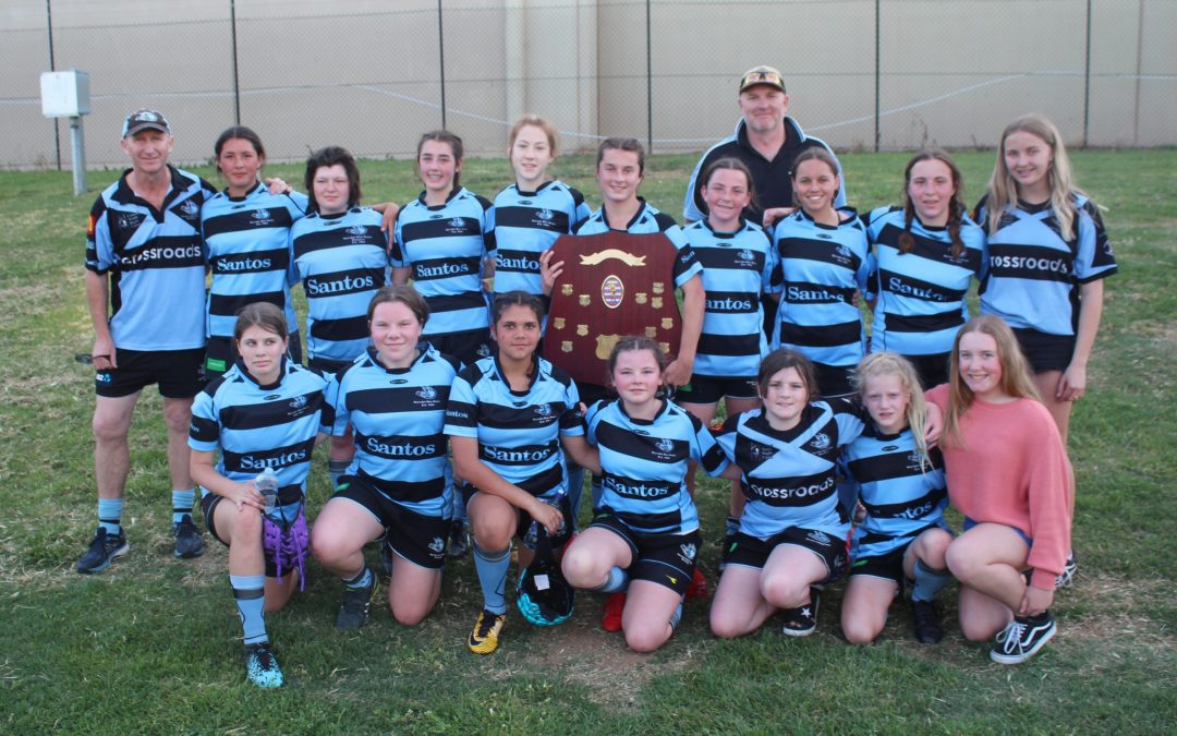 Narrabri girls finish a wonderful season with plate grand final victories