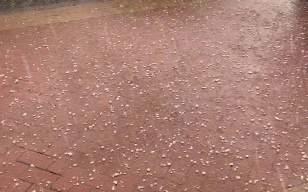 VIDEO: Heavy rain and hail hits Narrabri this afternoon