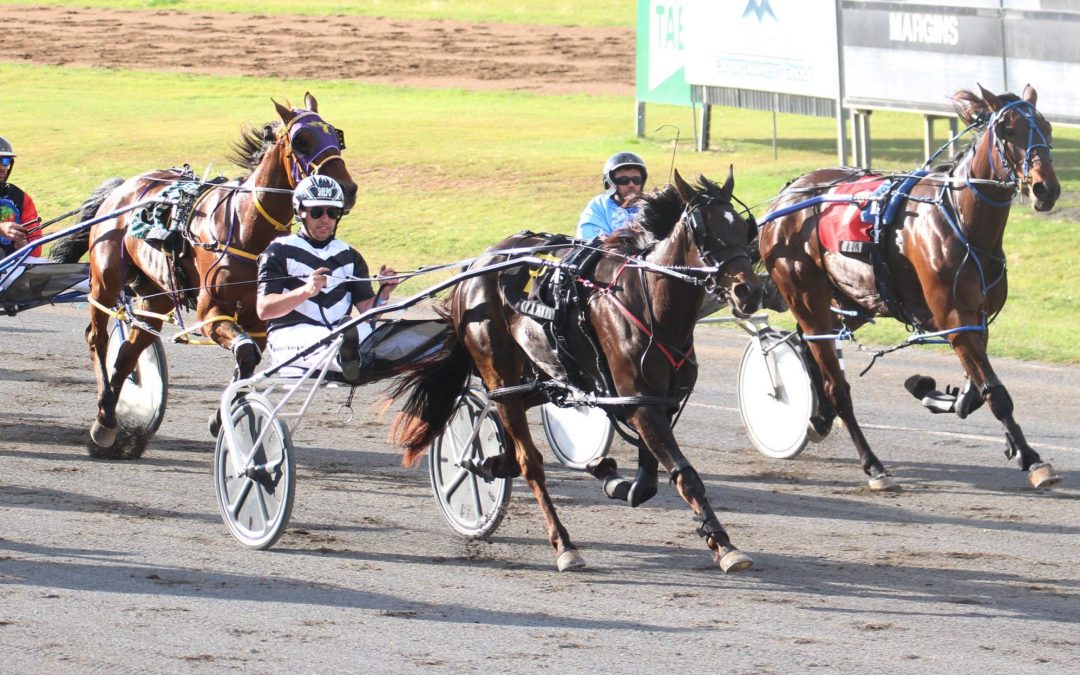 Narrabri pacer Future Fun races to victory at the Tamworth Paceway