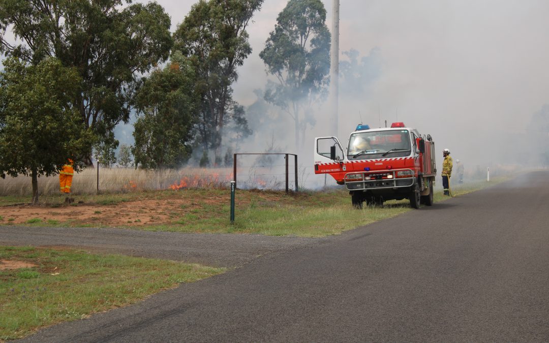 Be vigilant with growth, urges Rural Fire Service