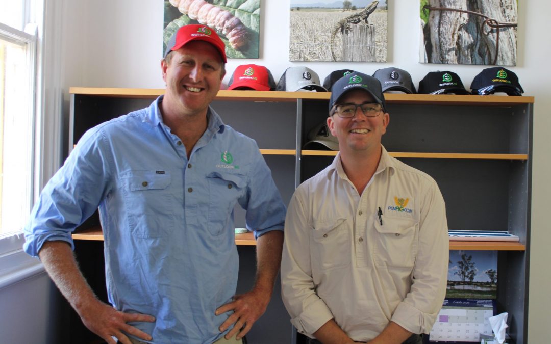 Heavy rain’s impact on crops being assessed