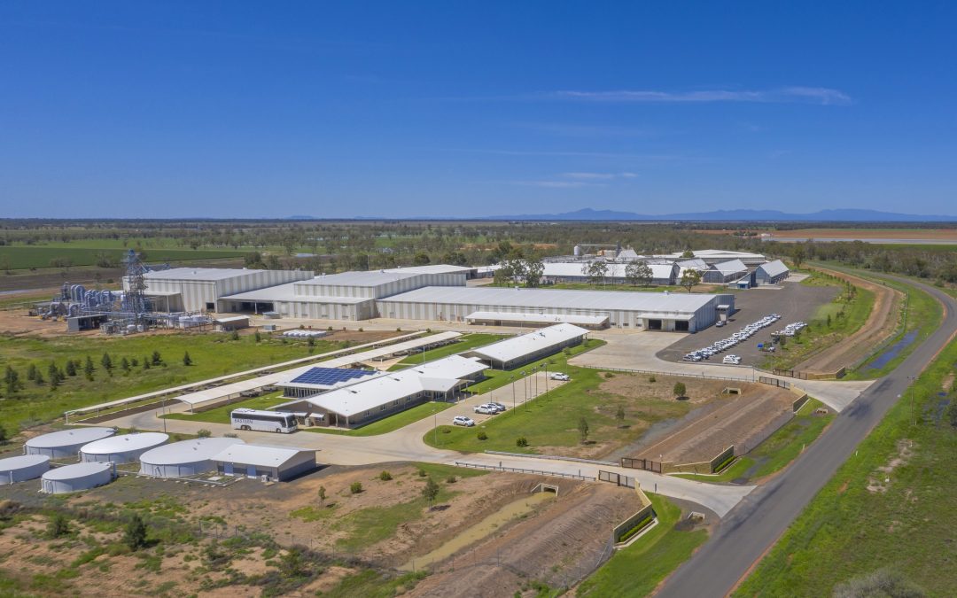 Cotton Seed Distributors boosts jobs at Wee Waa facilities