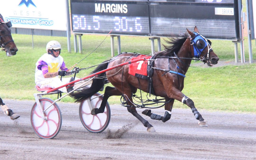 Narrabri-trained trio races to victory at the Tamworth Paceway