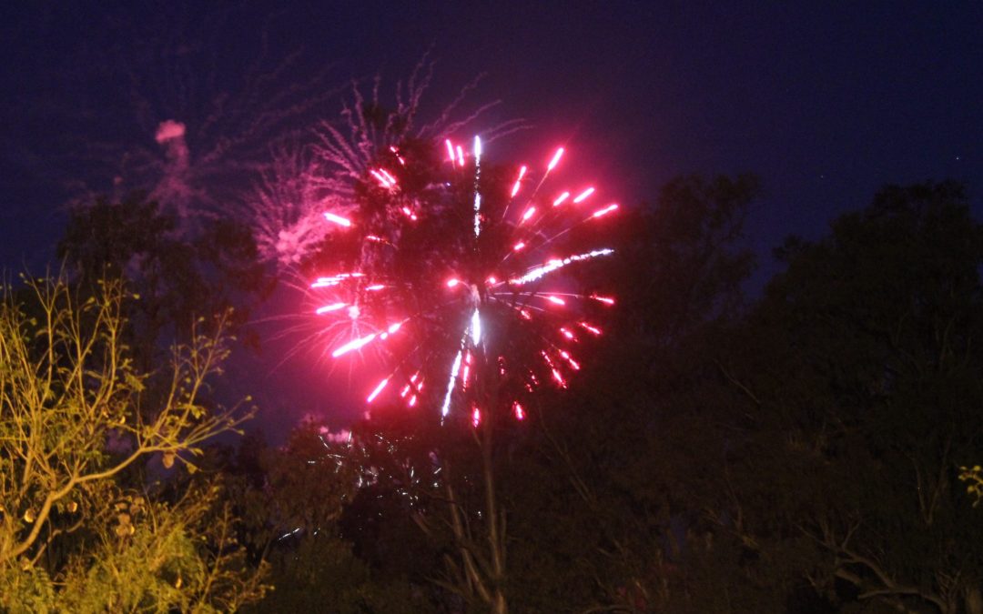 NSW government announces more easing of restrictions and details New Year’s Eve plans