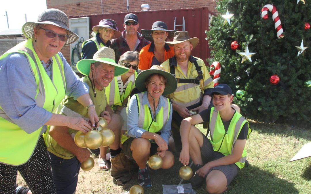 Chamber’s Christmas tree is up and lit in Maitland street
