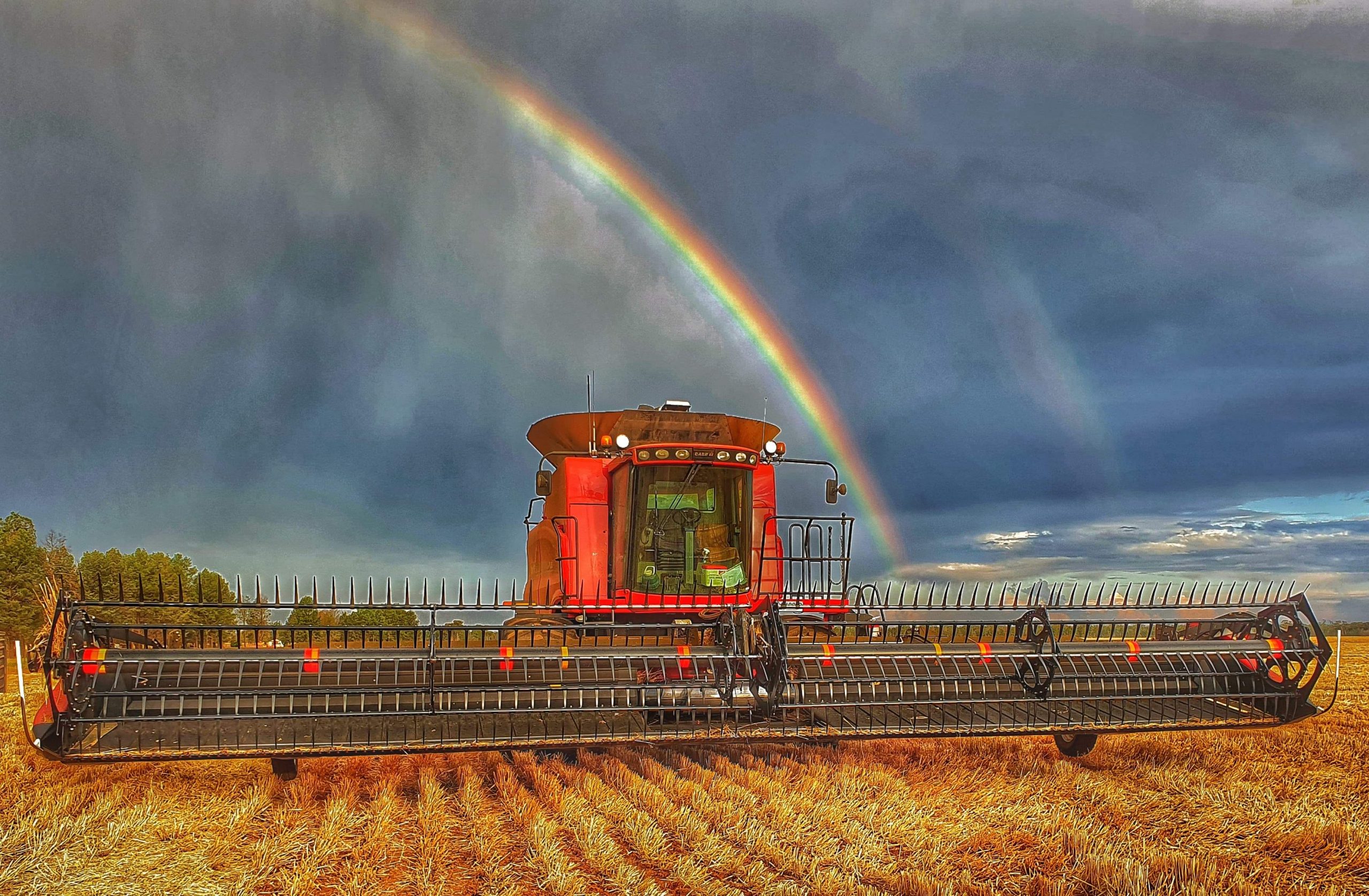 This photo was taken by Tim Oakley who was harvesting out west and was emailed by his wife Kayla Oakley.