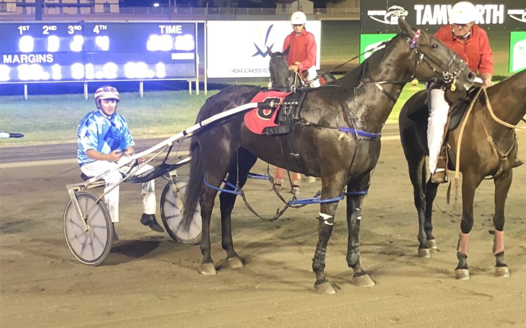 Jarred Hetherington-trained pacer Rintin races to first win