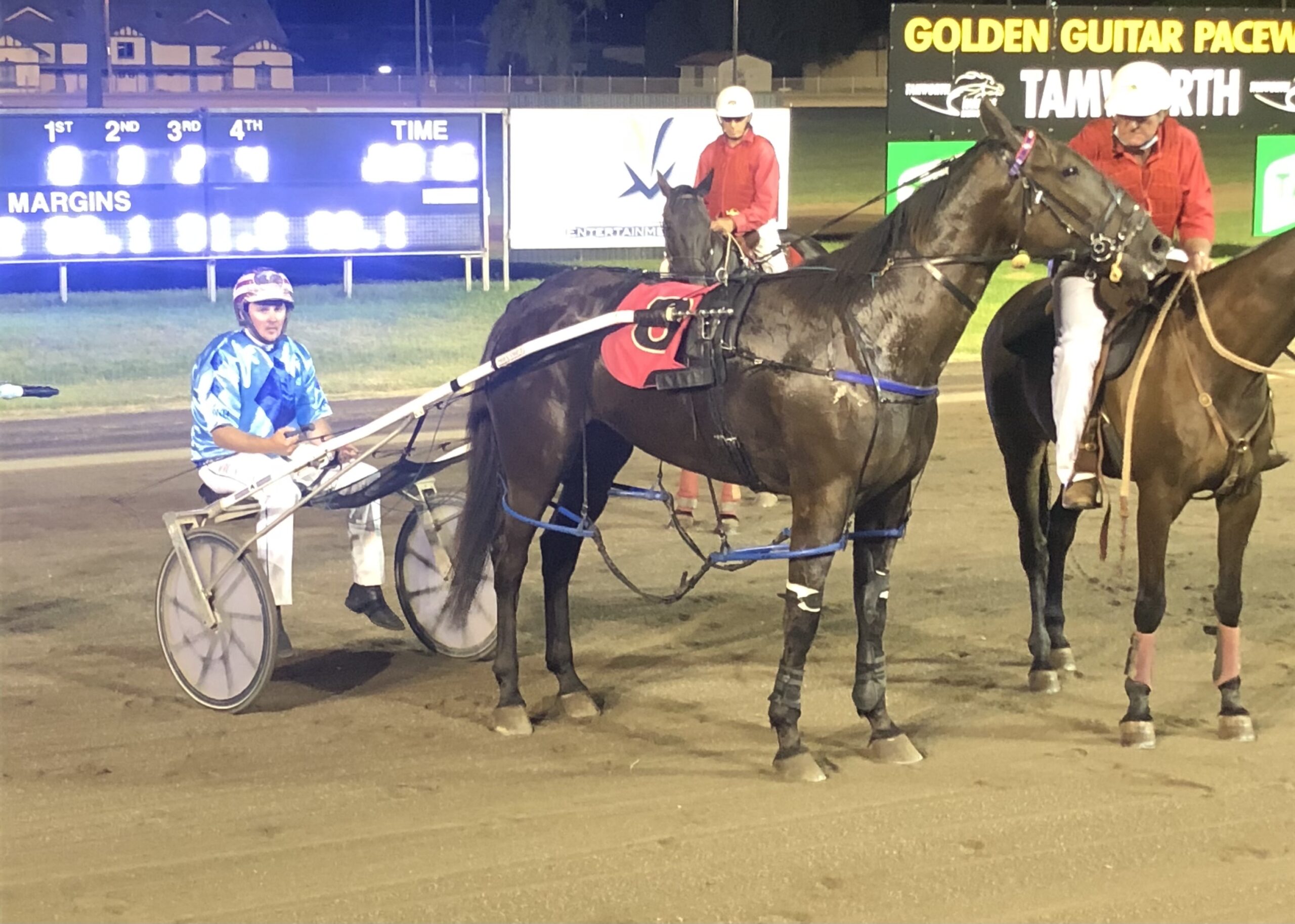 Jarred Hetherington-trained pacer Rintin races to first win