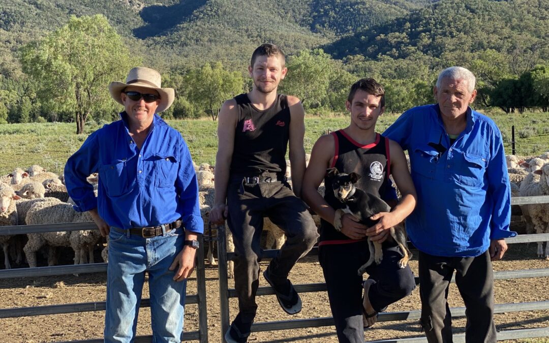Shearing is a family affair for the Bells