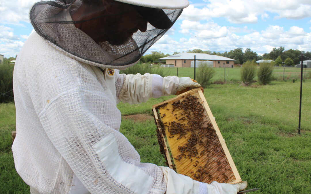 Local enthusiast Dan Mapstone shares the buzz on beekeeping