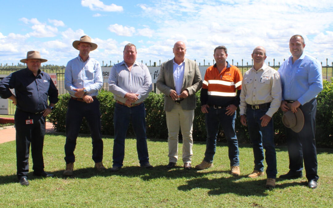 Council tenders awarded for pathway, airport projects