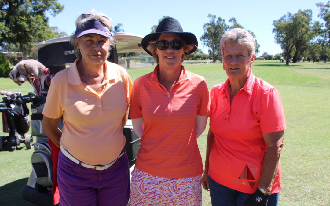 NSW Veteran Golfers Association week of golf returns to Narrabri | PHOTOS