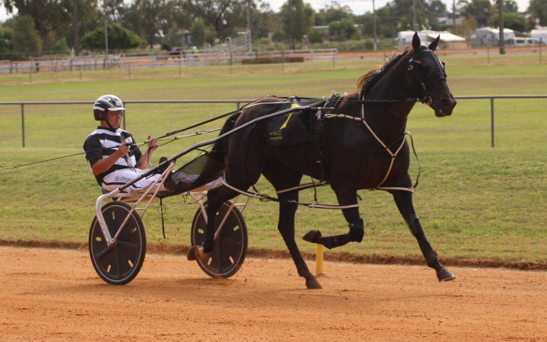 Narrabri Harness Racing Club hosts first of two annual meetings