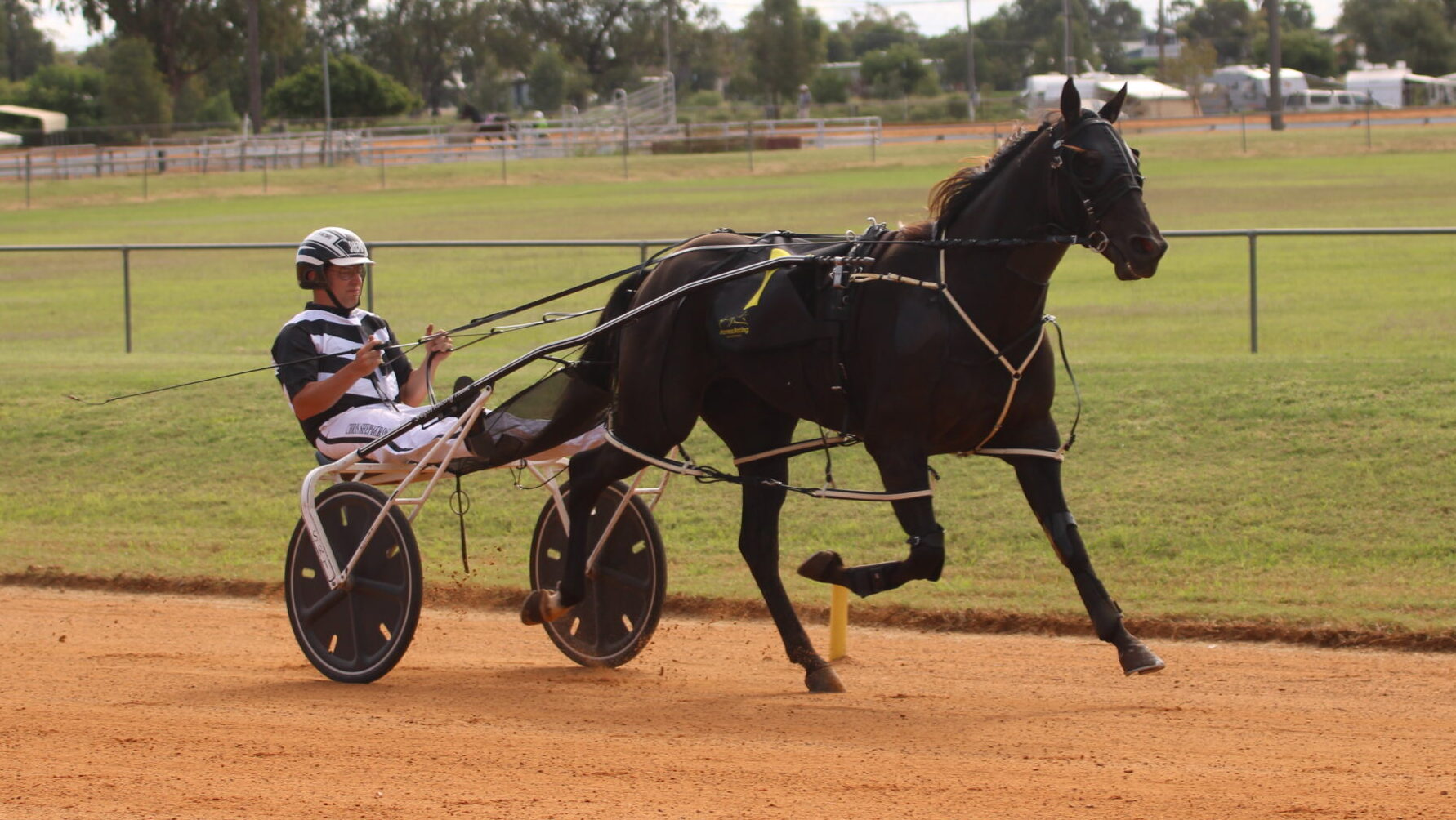 Narrabri Harness Racing Club hosts first of two annual meetings