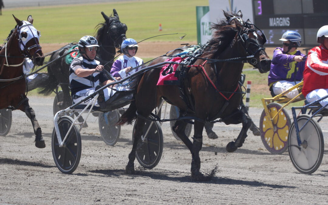 Narrabri Harness Racing Club to host two meetings in a week