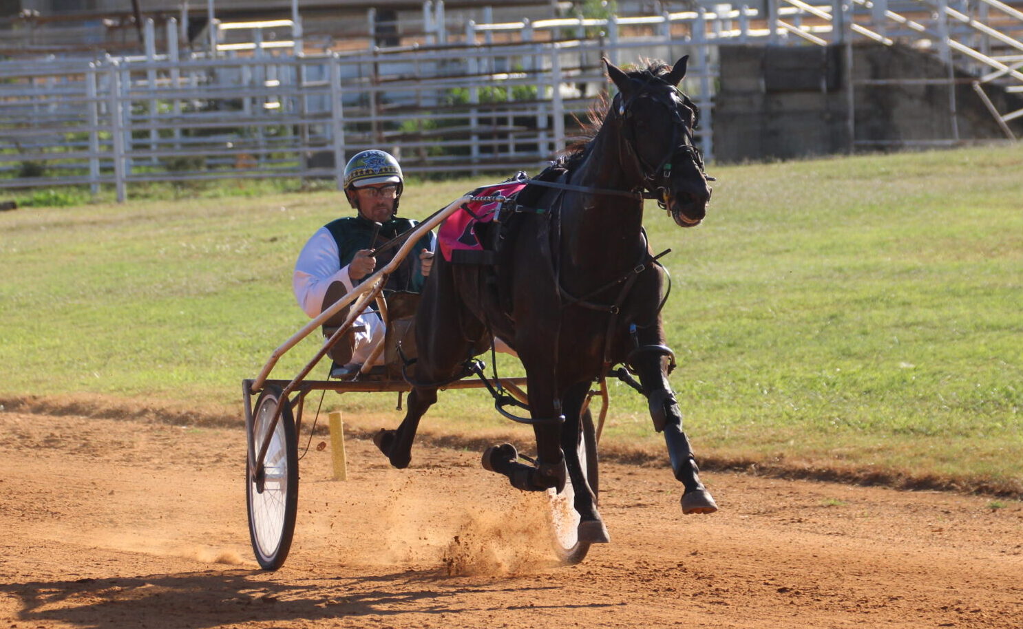 Bid For Stardom wins Narrabri Harness Racing Club’s 2021 Shop2390 Narrabri Cup