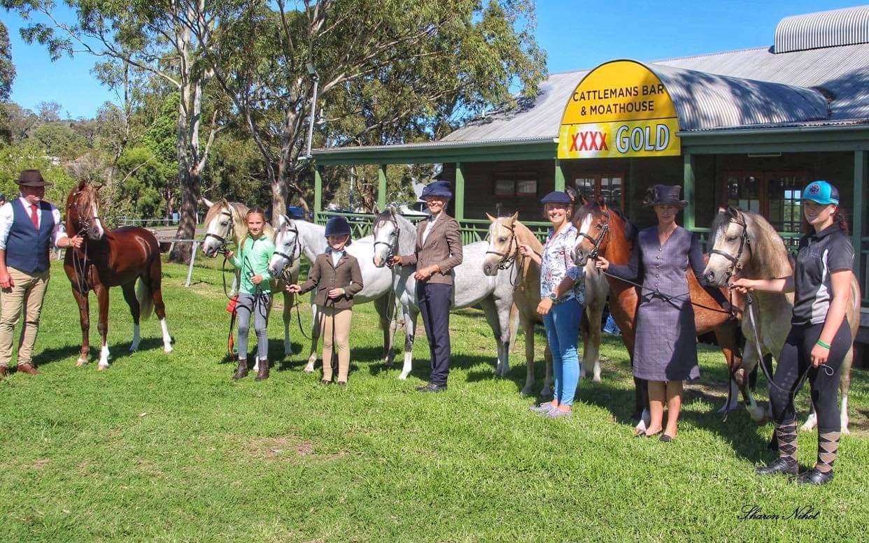Local horse breeders win in Queensland