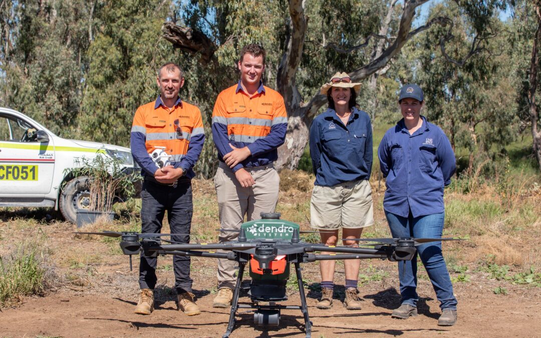 Interest in drones’ role in revegetation