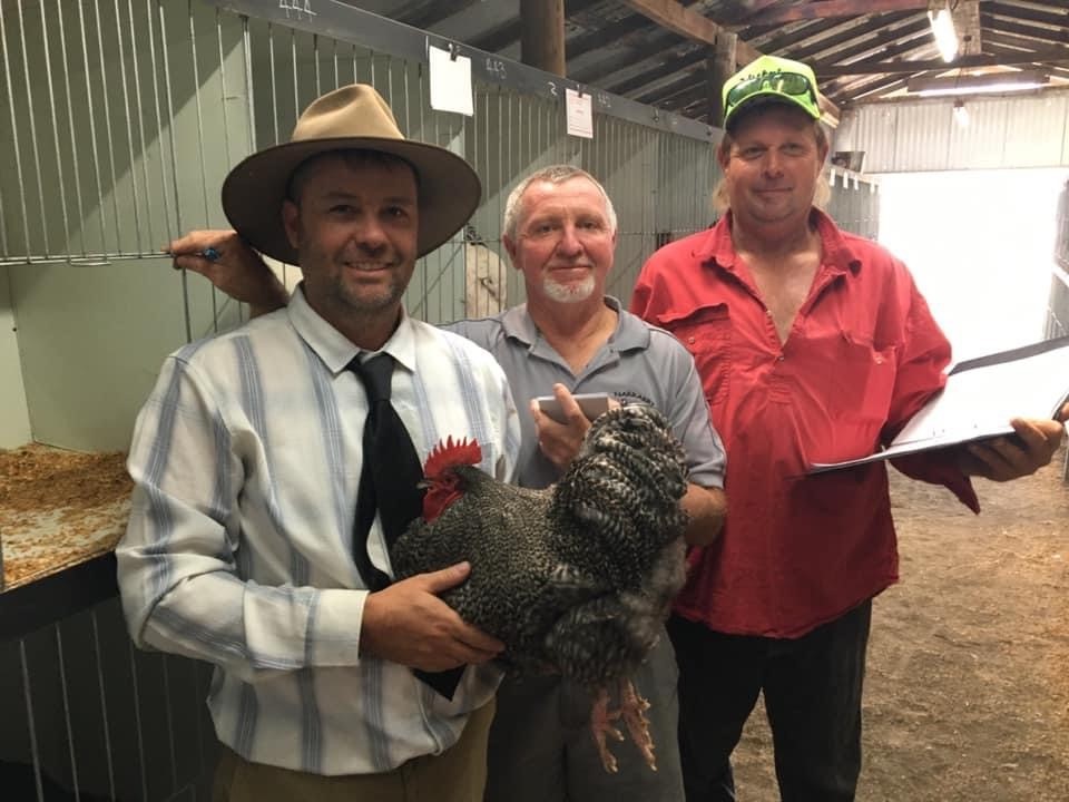 Judge Danny Mackney and poultry pavilion helpers Kevin Lawty and Dean Hall.