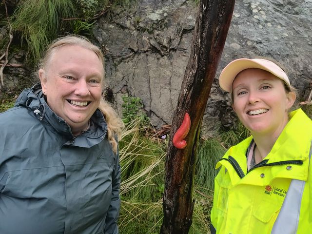 Gabrielle Rees and Megan Davies, hunting for slugs up Mt Kaputar.