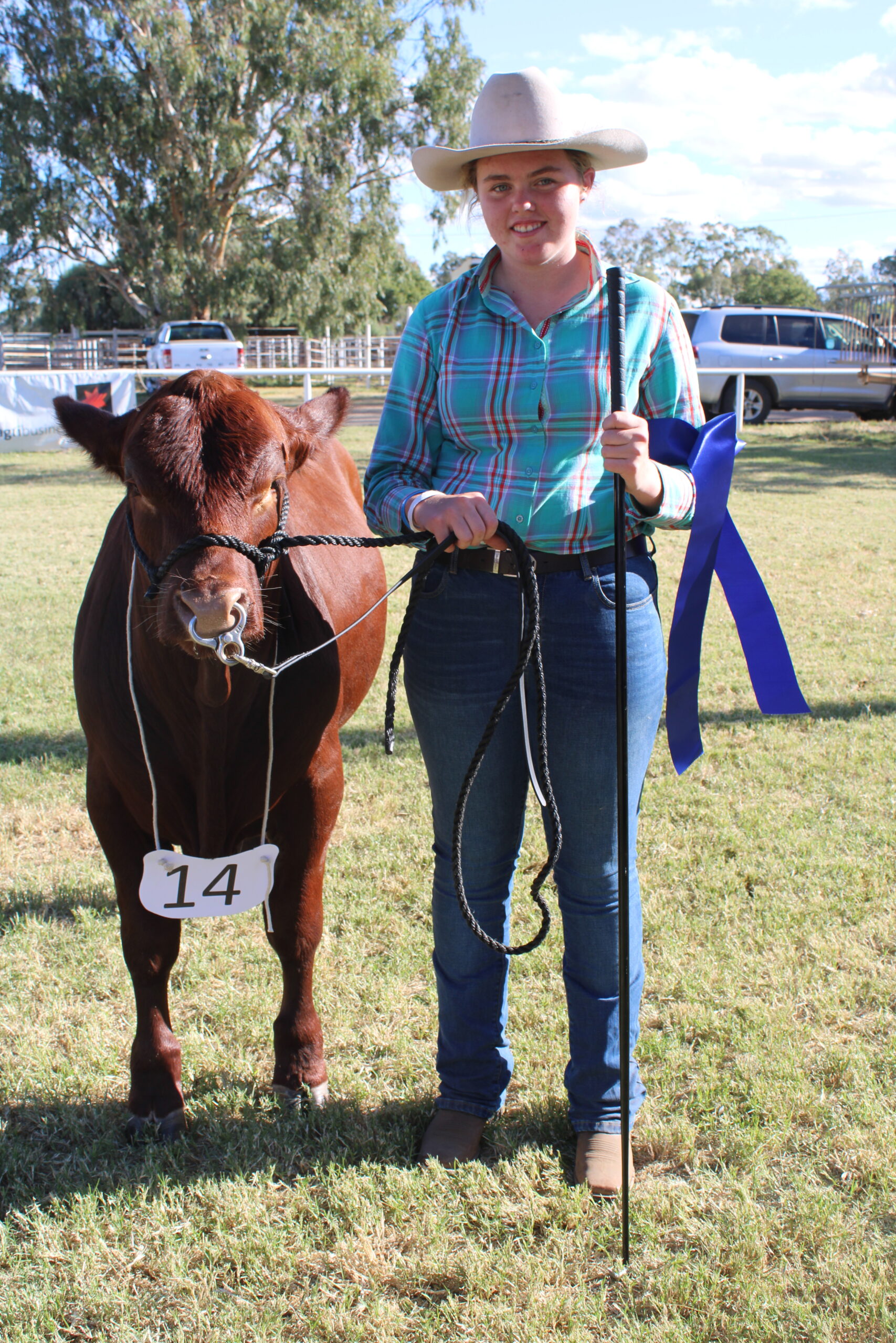 JAN RYAN MEMORIAL TROPHY: Georgia Kirkby (Bellata) with Waterloo Rebel was presented with junior champion bull.