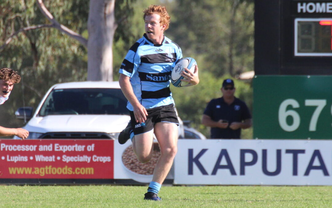 Blue Boars bounce back with a big win against Brumbies