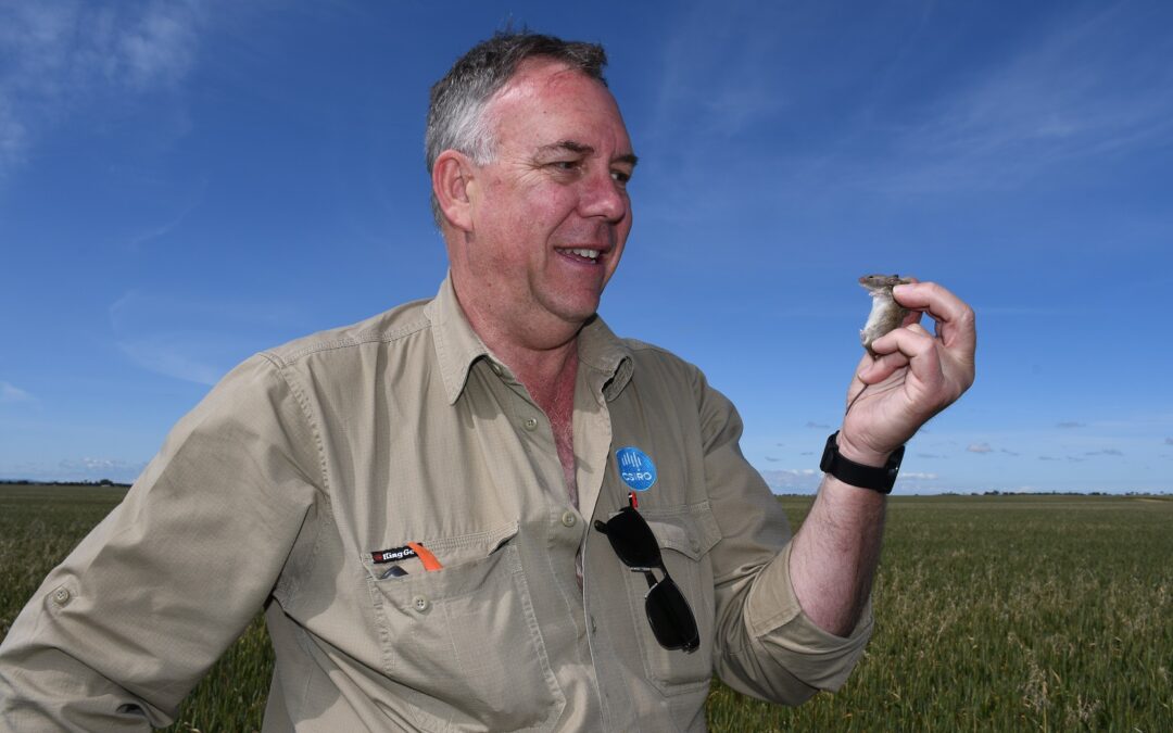 Mouse expert will explain strategies to manage mice