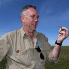 Growers urged to check paddocks