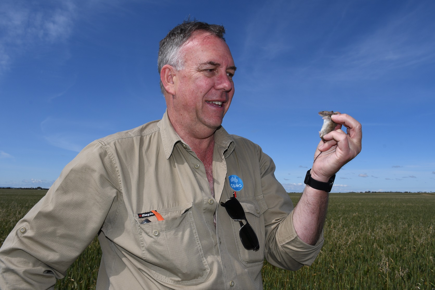 Mouse expert will explain strategies to manage mice