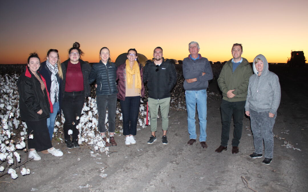 Local teachers given a lesson on cotton growing