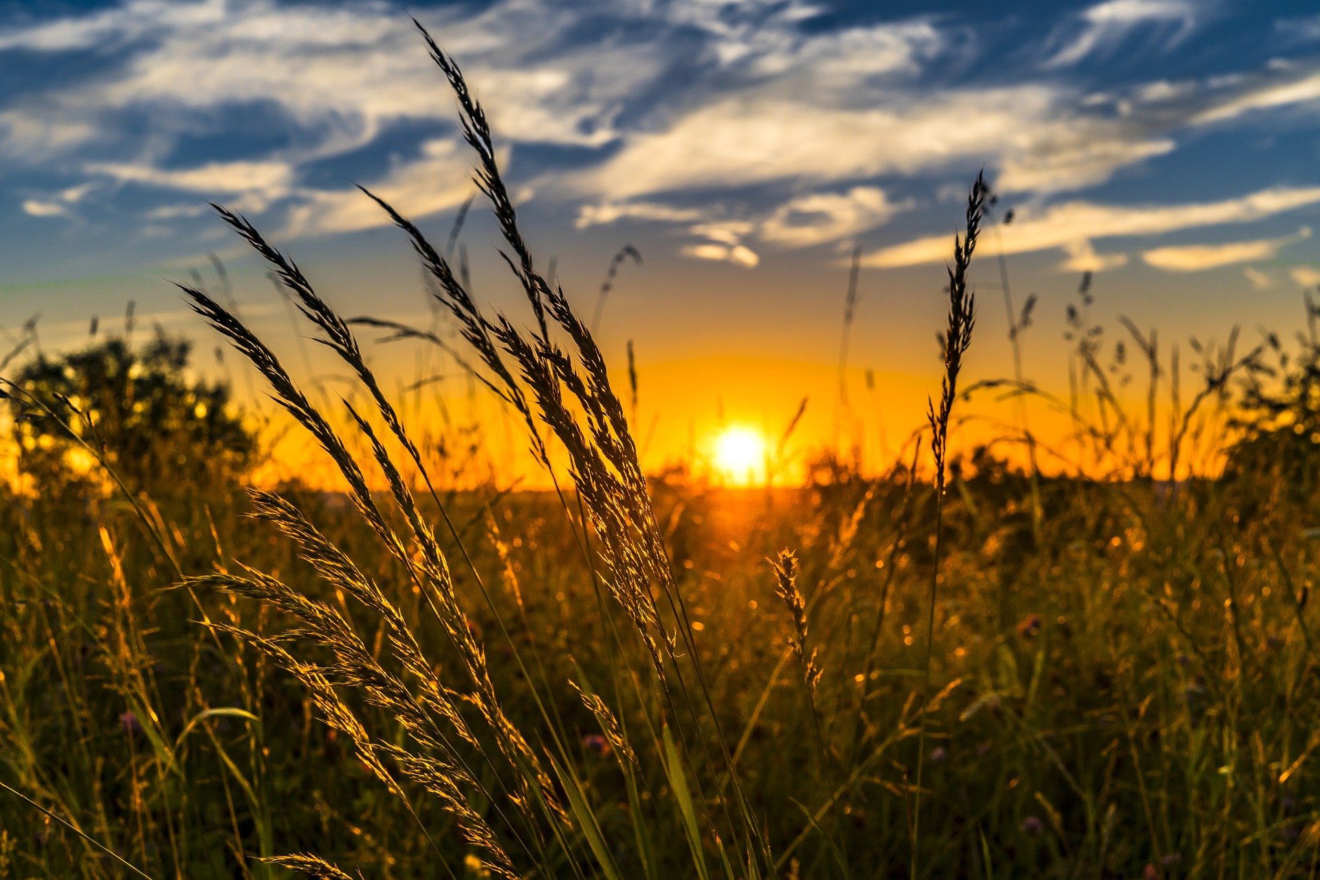 Application lodged for solar farm at Newell Highway site