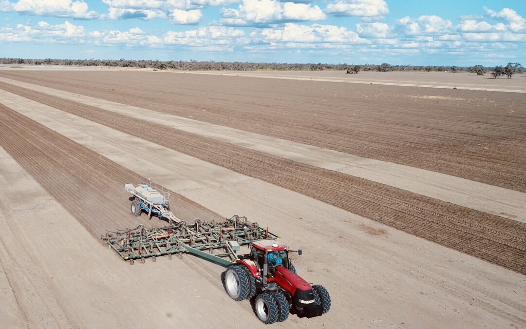 Solid winter crop outlook