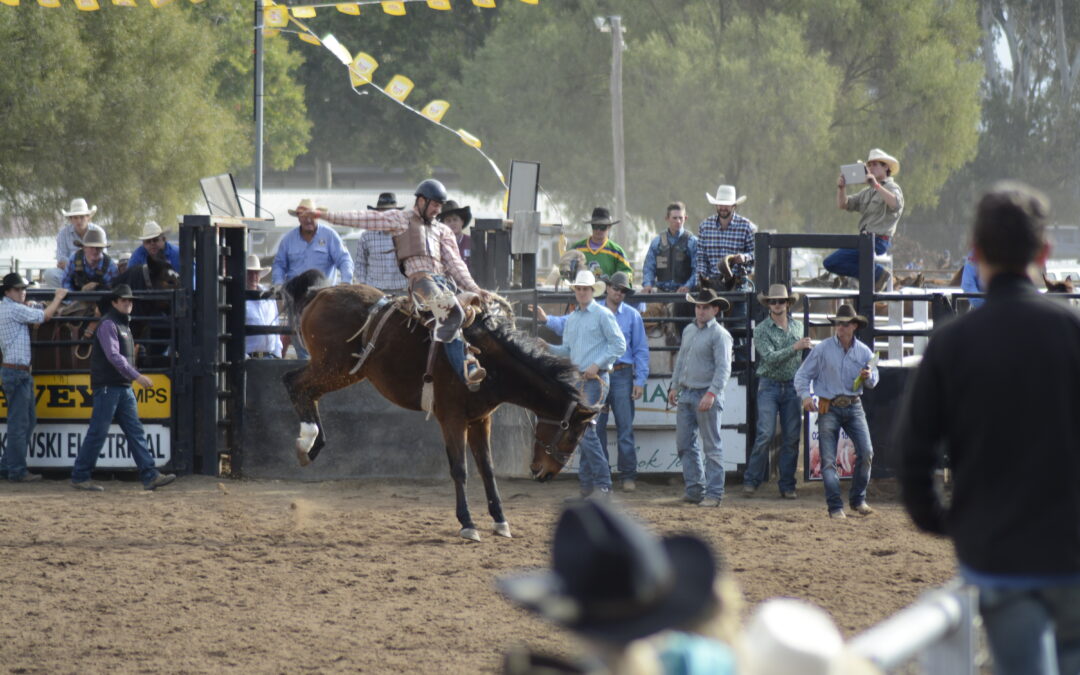 Coonamble welcomes the return of rodeo, campdraft, post COVID