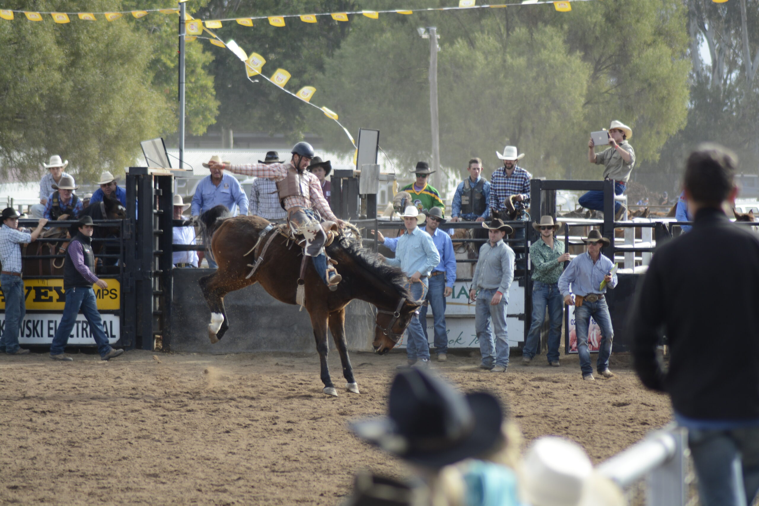Coonamble welcomes the return of rodeo, campdraft, post COVID