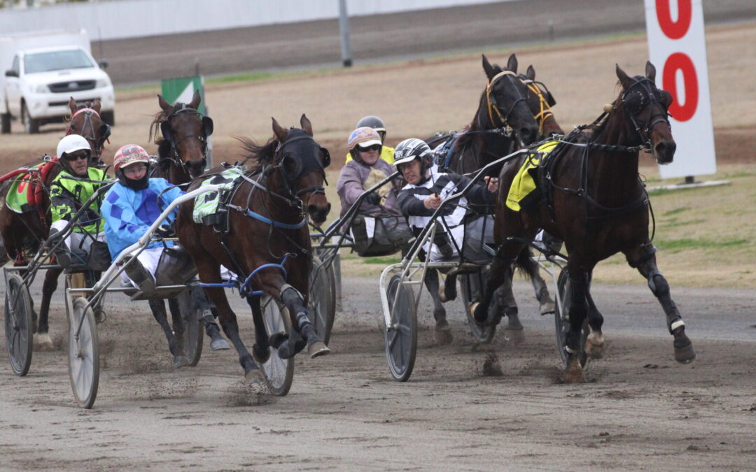 Narrabri-trained pacers run home first and second in an exciting finish in Tamworth