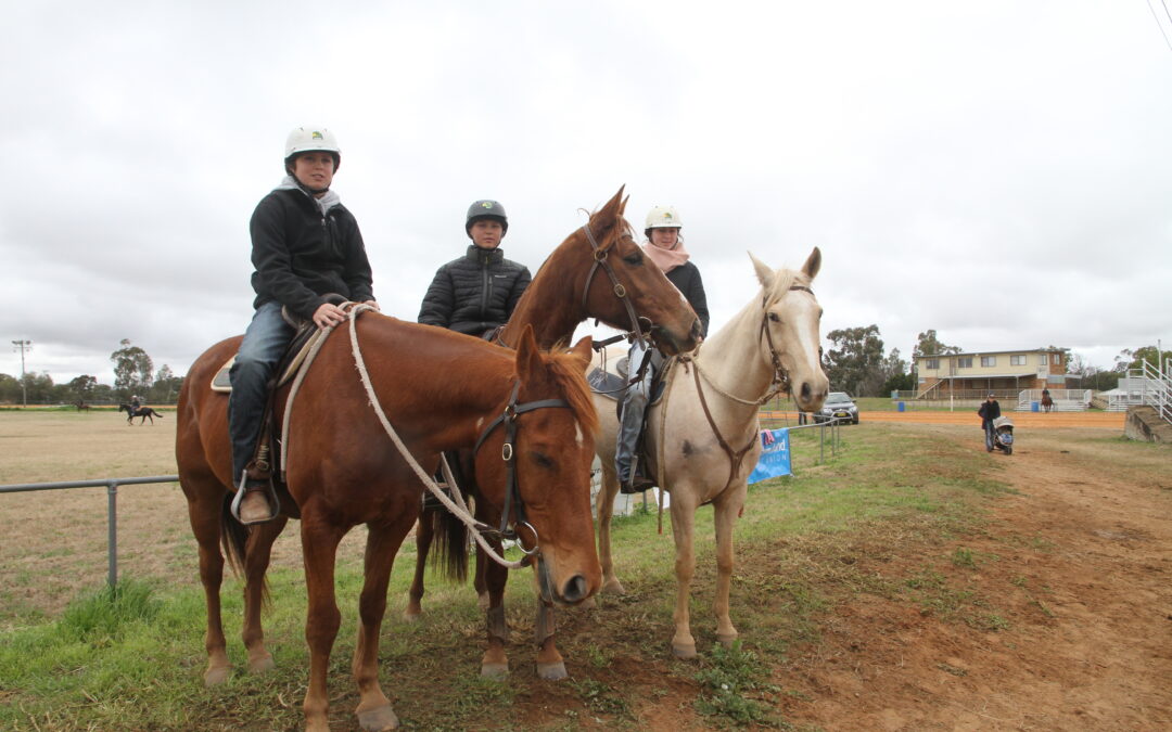 Narrabri Campdraft returns