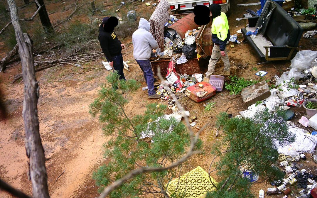 Alleged dumping in State Forest draws penalty notice