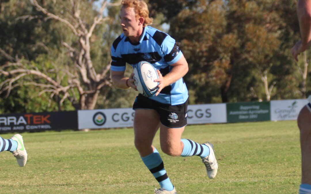 Blue Boars downed by the Brumbies in Scone