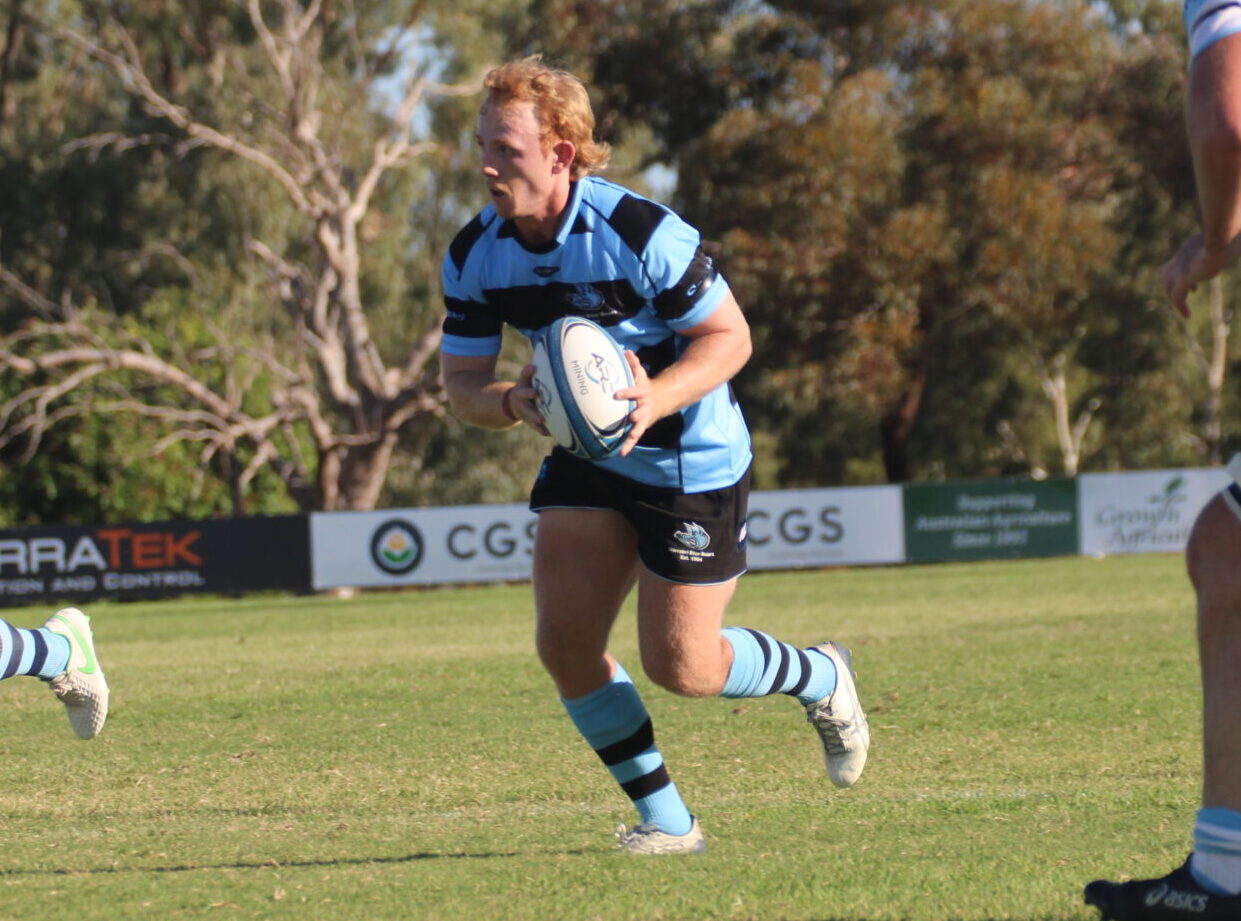 Blue Boars downed by the Brumbies in Scone