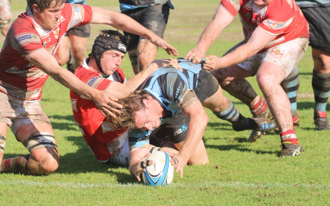Blue Boars’ second grade side storms into third place with fifth straight win