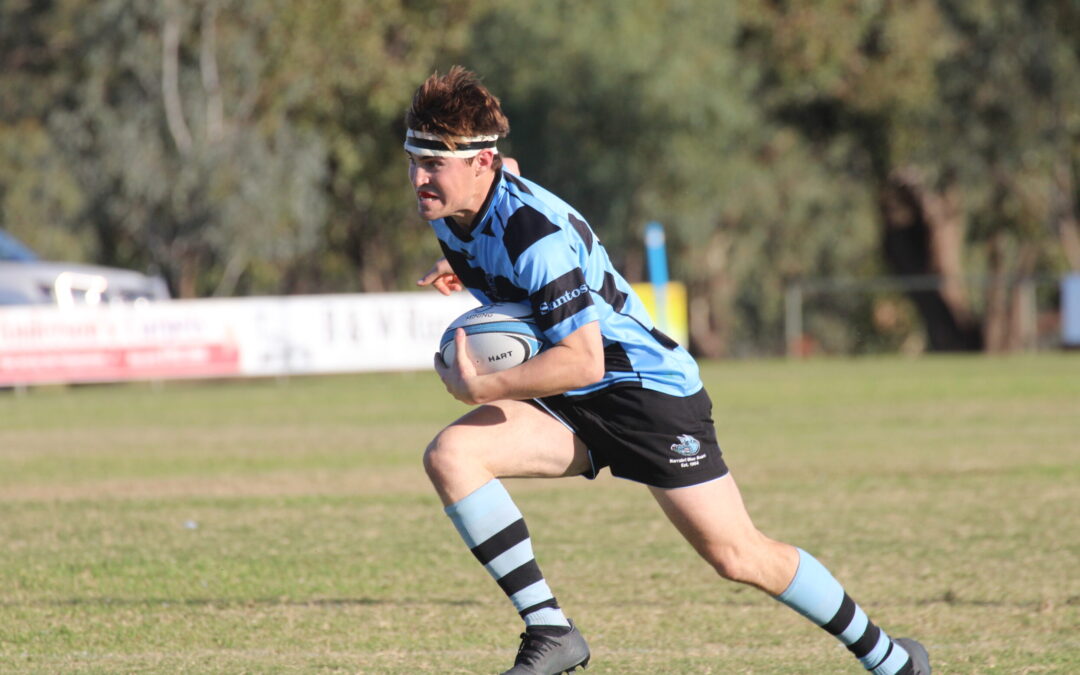 Narrabri Blue Boars determined to bounce back at Dangar Park in round 13