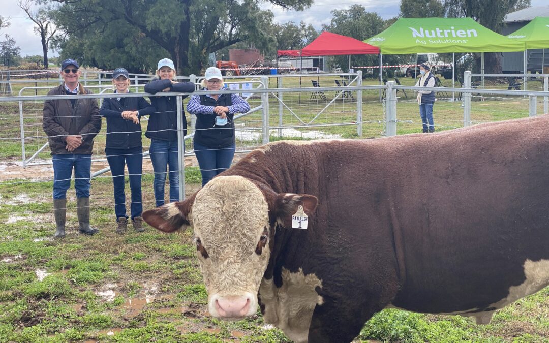 Successful sale reflects district’s great prospects
