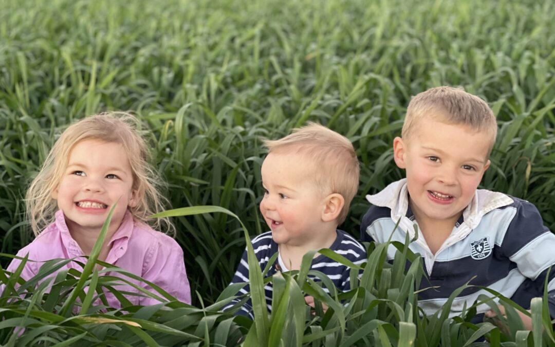 ‘Game changer’: Rain labelled timely for region’s winter crops