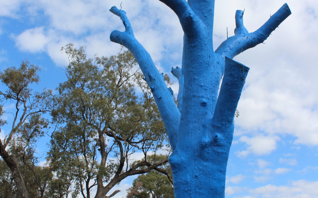 Have you seen Boggabri’s blue tree? | PHOTOS