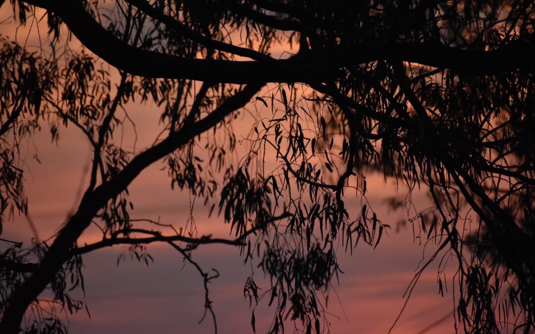 Photo competition unearths wonderful talent | PHOTOS